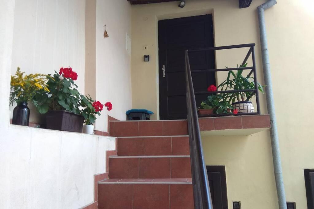 Apartman V Centru Olomouc Dış mekan fotoğraf